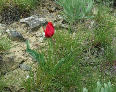 Прикрепленное изображение: 301.jpg